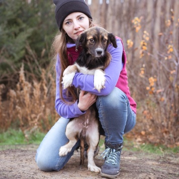 Собаки в добрые руки - Муха