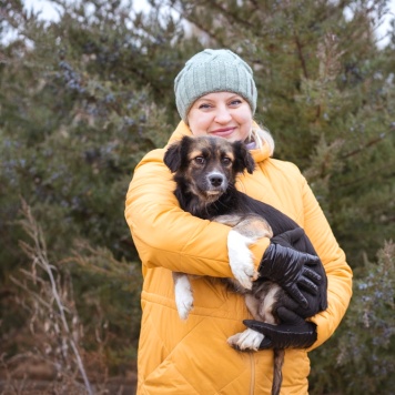 Собаки в добрые руки - Муха - 1