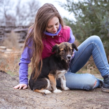 Собаки в добрые руки - Муха - 2