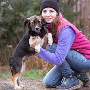 Собаки в добрые руки - Муха