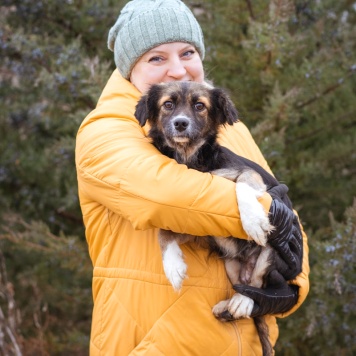 Собаки в добрые руки - Муха - 1