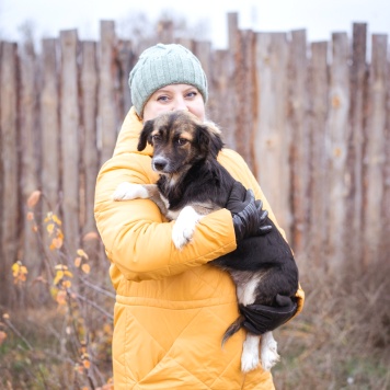 Собаки в добрые руки - Муха - 4