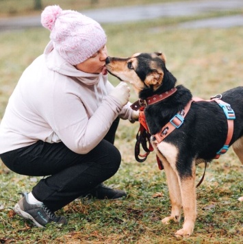 Собаки в добрые руки - Молли - 1