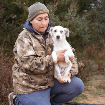 Собаки в добрые руки - Белка