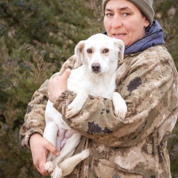 Собаки в добрые руки - Белка - 3