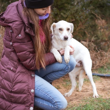 Собаки в добрые руки - Белка - 4