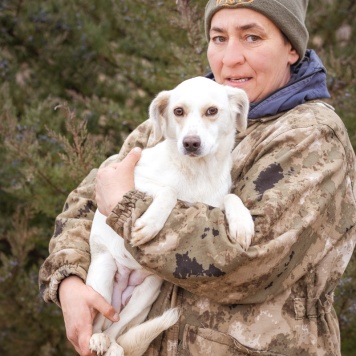 Собаки в добрые руки - Белка