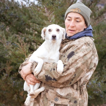 Собаки в добрые руки - Белка - 1