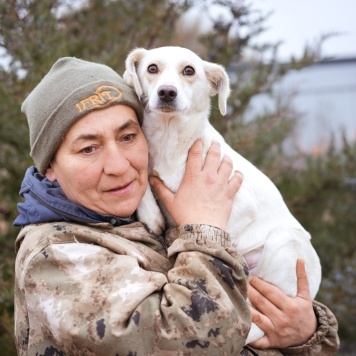 Собаки в добрые руки - Белка - 4