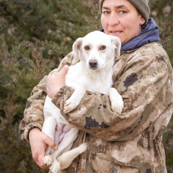 Собаки в добрые руки - Белка - 2