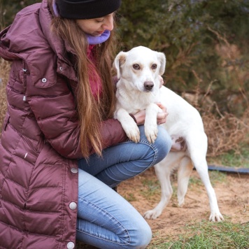 Собаки в добрые руки - Белка - 4