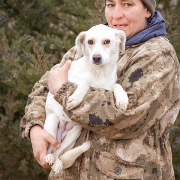 Собаки в добрые руки - Белка - 1