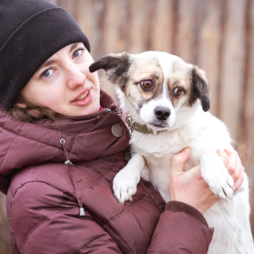 Собаки в добрые руки - Нюша - 3