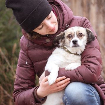 Собаки в добрые руки - Нюша