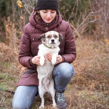 Собаки в добрые руки - Нюша - 3