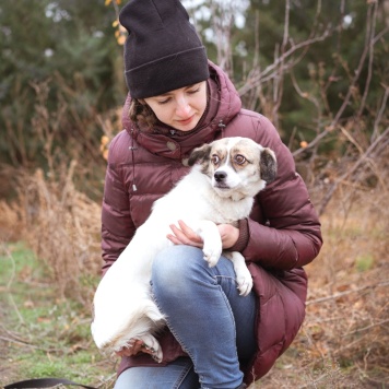 Собаки в добрые руки - Нюша - 4