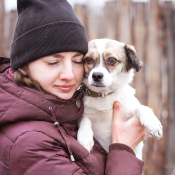 Собаки в добрые руки - Нюша - 2