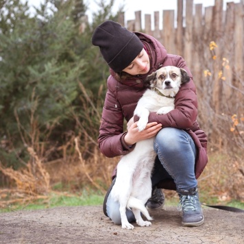 Собаки в добрые руки - Нюша - 3