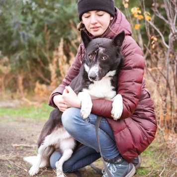 Собаки в добрые руки - Ронни - 3