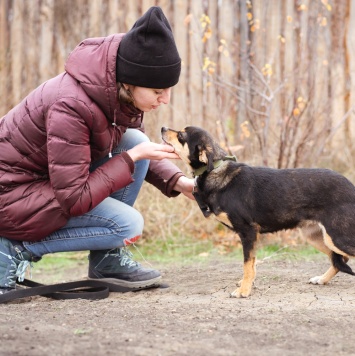 Собаки в добрые руки - Тося - 3