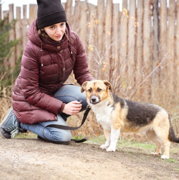 Собаки в добрые руки - Перчик