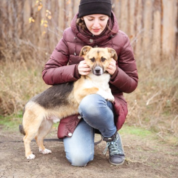 Собаки в добрые руки - Перчик - 2