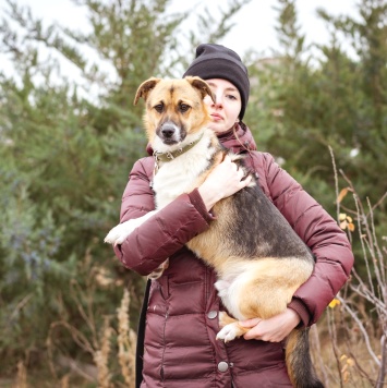 Собаки в добрые руки - Перчик - 3