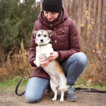 Собаки в добрые руки - Кукла