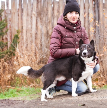 Собаки в добрые руки - Ронни