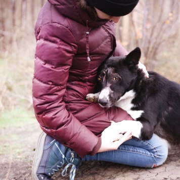 Собаки в добрые руки - Ронни