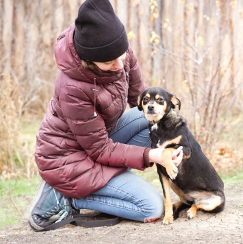 Собаки в добрые руки - Тося