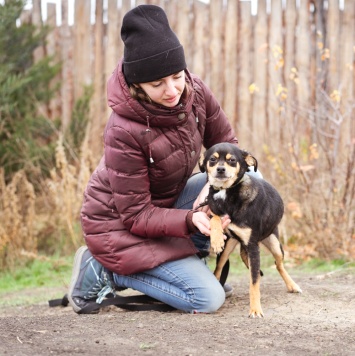 Собаки в добрые руки - Тося - 4