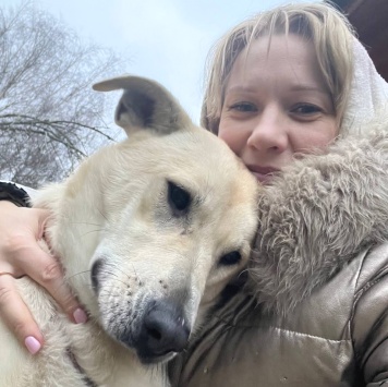 Собаки в добрые руки - Снежа