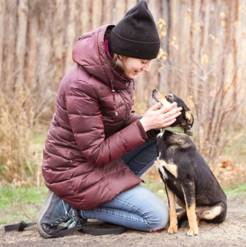 Собаки в добрые руки - Тося - 1