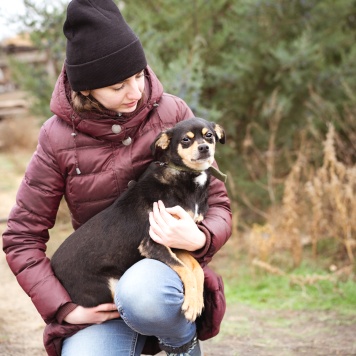 Собаки в добрые руки - Тося
