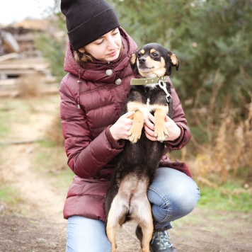 Собаки в добрые руки - Тося - 3