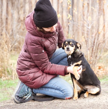 Собаки в добрые руки - Тося - 3