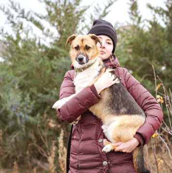 Собаки в добрые руки - Перчик