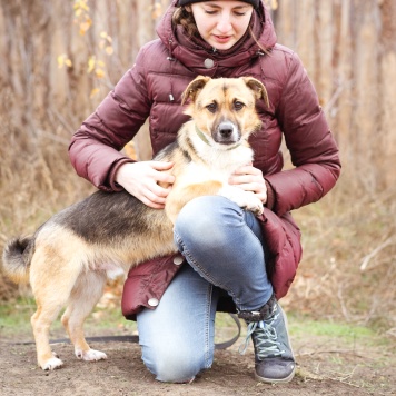 Собаки в добрые руки - Перчик - 3