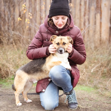 Собаки в добрые руки - Перчик - 3