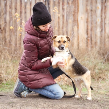 Собаки в добрые руки - Перчик - 4