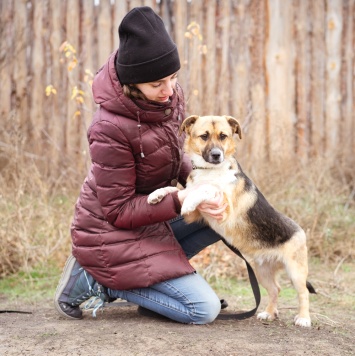Собаки в добрые руки - Перчик