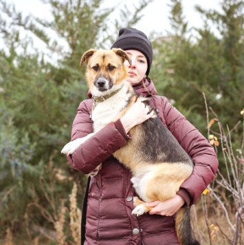 Собаки в добрые руки - Перчик - 3