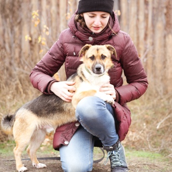 Собаки в добрые руки - Перчик - 4