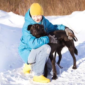 Собаки в добрые руки - Оникс - 1