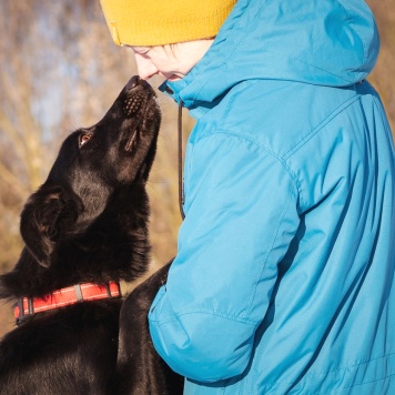 Собаки в добрые руки - Оникс - 4