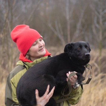 Собаки в добрые руки - Черника - 2
