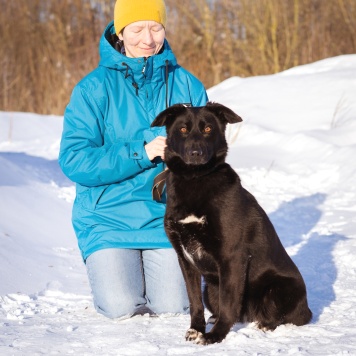 Собаки в добрые руки - Черника - 3