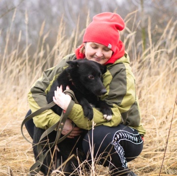 Собаки в добрые руки - Арабика - 1