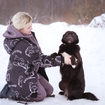 Собаки в добрые руки - Арабика - 1